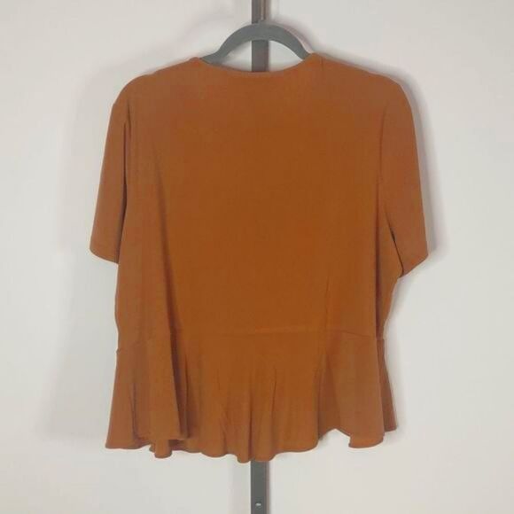 Perceptions Women 1X Carmel Polyester Tie Overblouse - Picture 6 of 9